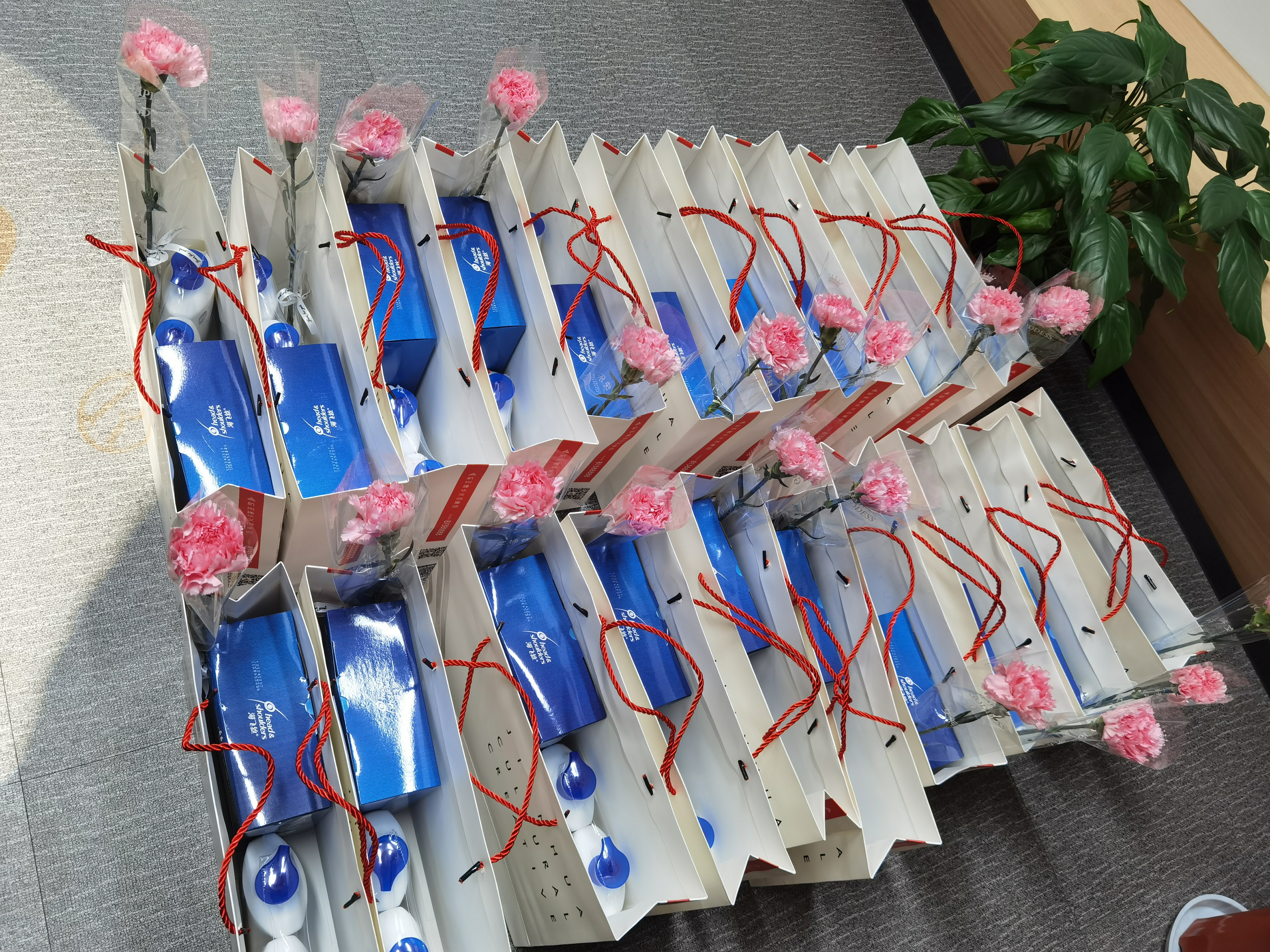 情暖三八 建華文創(chuàng)集團工會積極開展送溫暖活動 