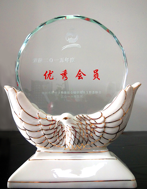 20160311杭州市兩新協(xié)會優(yōu)秀會員 (2).jpg